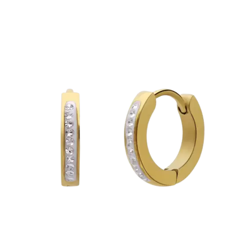 Stainless steel goldplated kinderoorringen met wit kristal