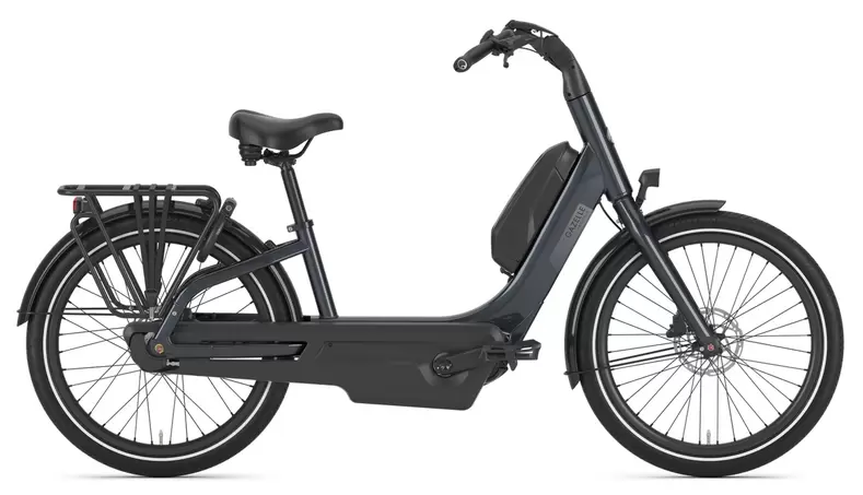 Gazelle Easyflow C8 lage instap