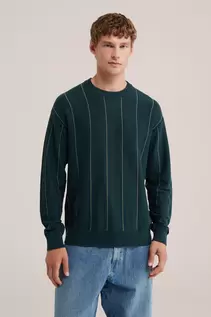 Regular fit gestreepte trui