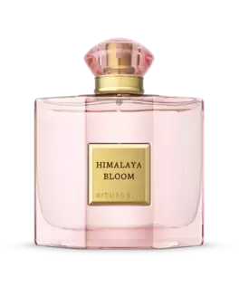 The Founder's Collection, eau de parfum, 50 ml
