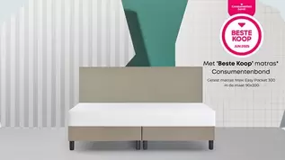 Box Lowen Plus vlak met Easy pocket 300 matras