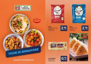 Catalogus van Amazing Oriental | Thuis in singapore | 2025-10-08T00:00:00.000Z - 2025-10-28T00:00:00.000Z