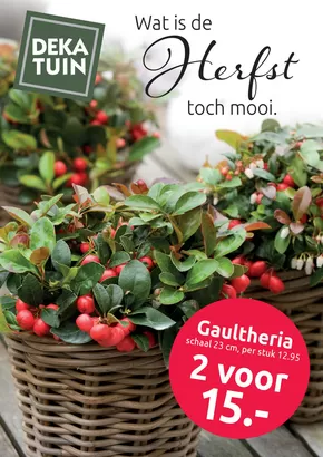Catalogus van Deka Tuin in Rotterdam | Wat is de Herfst toch mooi. | 2025-10-16T00:00:00.000Z - 2025-10-26T00:00:00.000Z