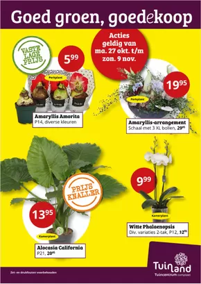 Catalogus van Tuinland in Steenbergen (Noord-Brabant) | Goed groen, goedekoop | 2025-10-29T00:00:00.000Z - 2025-11-09T00:00:00.000Z