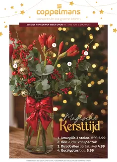 Catalogus van Coppelmans in Delfzijl | Magische Kersttijd | 2025-12-10T00:00:00.000Z - 2025-12-21T00:00:00.000Z