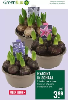 Catalogus van GroenRijk in Weert | GroenRijk folder | 2025-12-17T00:00:00.000Z - 2025-12-30T00:00:00.000Z