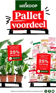 Catalogus van Welkoop in Best | Topdeals voor alle klanten | 2025-12-29T00:00:00.000Z - 2026-01-18T00:00:00.000Z
