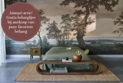 Catalogus van Decorette in Rotterdam | Gratis behanglijm bij aankoop van jouw favoriete behang | 2026-01-21T00:00:00.000Z - 2026-01-31T00:00:00.000Z