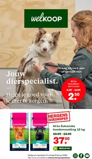 Catalogus van Welkoop in Bodegraven | Exclusieve deals voor onze klanten | 2026-02-02T00:00:00.000Z - 2026-02-15T00:00:00.000Z
