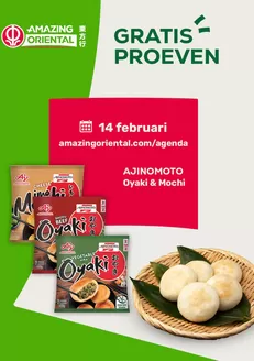 Catalogus van Amazing Oriental in Ootmarsum | Actuele deals en aanbiedingen | 2026-02-14T00:00:00.000Z - 2026-02-14T00:00:00.000Z