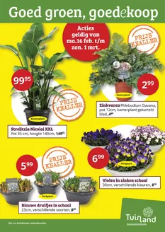 Catalogus van Tuinland in Scheveningen | Actuele deals en aanbiedingen | 2026-02-16T00:00:00.000Z - 2026-03-01T00:00:00.000Z