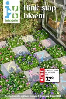Catalogus van Intratuin | Intratuin folder | 2026-03-09T00:00:00.000Z - 2026-03-15T00:00:00.000Z