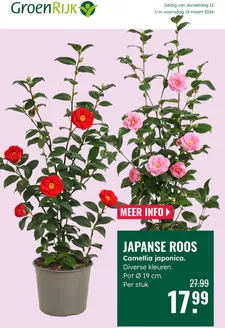 Catalogus van GroenRijk | Onze beste koopjes | 2026-03-12T00:00:00.000Z - 2026-03-18T00:00:00.000Z