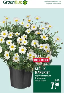 Catalogus van GroenRijk in Zaandam | Aantrekkelijke speciale aanbiedingen voor iedereen | 2026-03-19T00:00:00.000Z - 2026-03-25T00:00:00.000Z