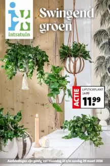 Catalogus van Intratuin in IJsselmuiden | Intratuin folder | 2026-03-23T00:00:00.000Z - 2026-03-29T00:00:00.000Z