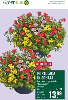 Catalogus van GroenRijk | Geweldig aanbod voor alle klanten | 2026-05-21T00:00:00.000Z - 2026-05-27T00:00:00.000Z