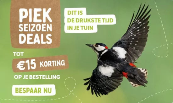 Catalogus van Vivara in Eindhoven | Vivara Promo | 2026-05-29T00:00:00.000Z - 2026-06-12T00:00:00.000Z