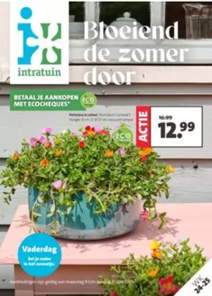 Catalogus van Intratuin | Nieuwe aanbiedingen om te ontdekken | 2026-06-08T00:00:00.000Z - 2026-06-23T00:00:00.000Z