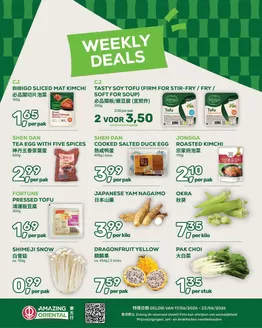 Catalogus van Amazing Oriental | Bespaar nu met onze deals | 2026-06-17T00:00:00.000Z - 2026-06-23T00:00:00.000Z