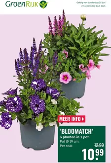 Catalogus van GroenRijk | Actuele speciale acties | 2026-06-25T00:00:00.000Z - 2026-07-01T00:00:00.000Z