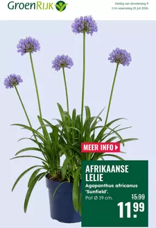 Catalogus van GroenRijk | Aanbiedingen voor koopjesjagers | 2026-07-09T00:00:00.000Z - 2026-07-15T00:00:00.000Z