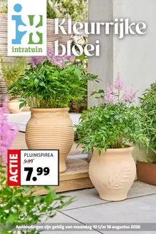 Intratuin folder in Beek (Limburg) | Intratuin folder | 2026-08-10T00:00:00.000Z - 2026-08-16T00:00:00.000Z