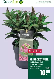 Catalogus van GroenRijk | Geweldig aanbod voor alle klanten | 2026-08-20T00:00:00.000Z - 2026-08-26T00:00:00.000Z