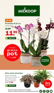 Welkoop folder in Baarn | Actuele koopjes en aanbiedingen | 2026-09-07T00:00:00.000Z - 2026-09-20T00:00:00.000Z