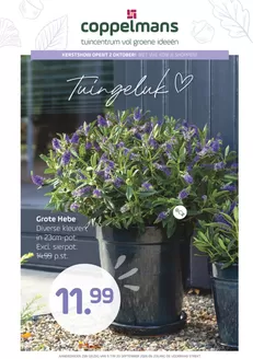 Coppelmans folder in Leusden | Coppelmans folder | 2026-09-09T00:00:00.000Z - 2026-09-20T00:00:00.000Z