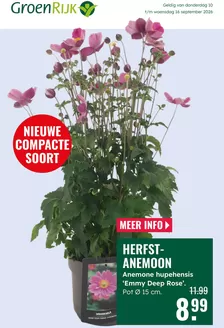 Catalogus van GroenRijk in Easterwierrum | Grote selectie aanbiedingen | 2026-09-10T00:00:00.000Z - 2026-09-16T00:00:00.000Z
