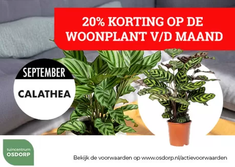Tuincentrum Osdorp folder in Harlingen | Tuincentrum Osdorp Promo | 2026-09-15T00:00:00.000Z - 2026-09-30T00:00:00.000Z