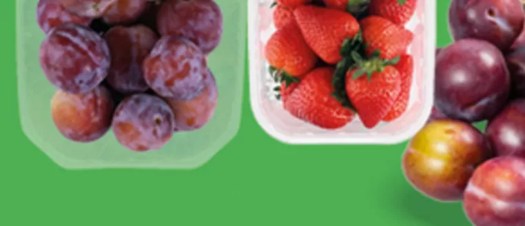 Catalogus van Dekamarkt | Onze beste deals voor u | 2026-09-15T00:00:00.000Z - 2026-09-29T00:00:00.000Z