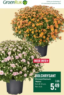 Catalogus van GroenRijk | Actuele koopjes en aanbiedingen | 2026-09-17T00:00:00.000Z - 2026-09-23T00:00:00.000Z
