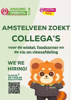 Catalogus van Amazing Oriental in Haarsteeg | Amazing Oriental folder | 2026-10-01T00:00:00.000Z - 2026-10-15T00:00:00.000Z