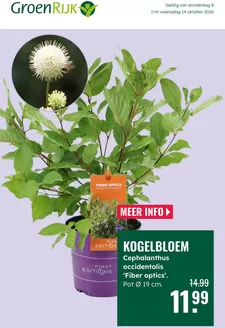 GroenRijk folder in Venlo | Topdeals voor alle klanten | 2026-10-08T00:00:00.000Z - 2026-10-14T00:00:00.000Z