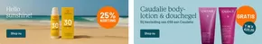 25% Korting