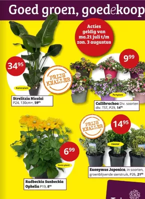Catalogus van Tuinland in Almere | Goed groen, goedekoop | 2025-07-21T00:00:00.000Z - 2025-08-03T00:00:00.000Z