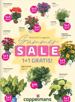 Catalogus van Coppelmans in Lekkerkerk | Sale | 2025-08-01T00:00:00.000Z - 2025-08-05T00:00:00.000Z