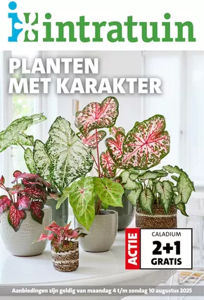 Catalogus van Intratuin in Tilburg | Intratuin folder | 2025-08-04T00:00:00.000Z - 2025-08-10T00:00:00.000Z