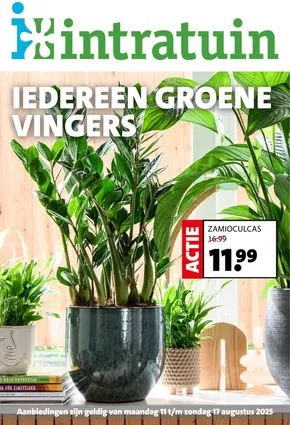 Catalogus van Intratuin in Lelystad | Intratuin folder | 2025-08-11T00:00:00.000Z - 2025-08-17T00:00:00.000Z
