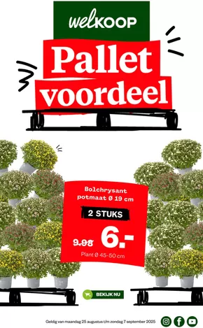 Welkoop