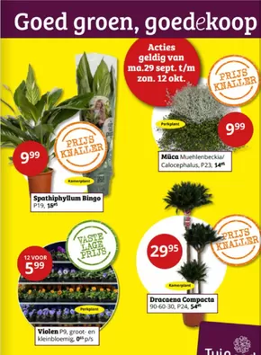 Catalogus van Tuinland in Velserbroek | Goed groen, goedekoop | 2025-09-29T00:00:00.000Z - 2025-10-12T00:00:00.000Z