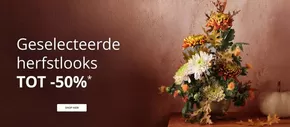 Catalogus van Ulla Popken | Tot -50% | 2025-10-01T00:00:00.000Z - 2025-10-15T00:00:00.000Z