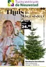 Catalogus van Tuincentrum de Nieuwstad in Noordwijkerhout | Thuis in kerstsfeer | 2025-12-03T00:00:00.000Z - 2025-12-09T00:00:00.000Z