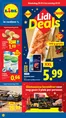 Catalogus van Lidl in Loo | Geweldige kortingen op geselecteerde producten | 2025-12-11T00:00:00.000Z - 2025-12-21T00:00:00.000Z