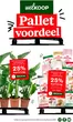 Catalogus van Welkoop in Best | Topdeals voor alle klanten | 2025-12-29T00:00:00.000Z - 2026-01-18T00:00:00.000Z