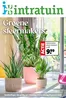 Catalogus van Intratuin in Bussum | Groene sfeermakers | 2026-01-16T00:00:00.000Z - 2026-01-18T00:00:00.000Z