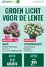 Catalogus van GroenRijk in Zaandam | Grote selectie aanbiedingen | 2026-03-19T00:00:00.000Z - 2026-03-25T00:00:00.000Z