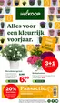 Catalogus van Welkoop in Best | Topaanbiedingen voor alle koopjesjagers | 2026-03-30T00:00:00.000Z - 2026-04-12T00:00:00.000Z