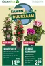 Catalogus van GroenRijk in 's-Hertogenbosch | Exclusieve koopjes | 2026-04-02T00:00:00.000Z - 2026-04-08T00:00:00.000Z